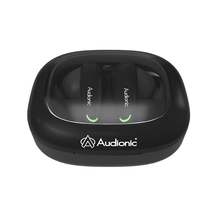 Airbud 735 Ion with ANC