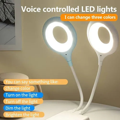 LK-50 USB Voice Smart Light