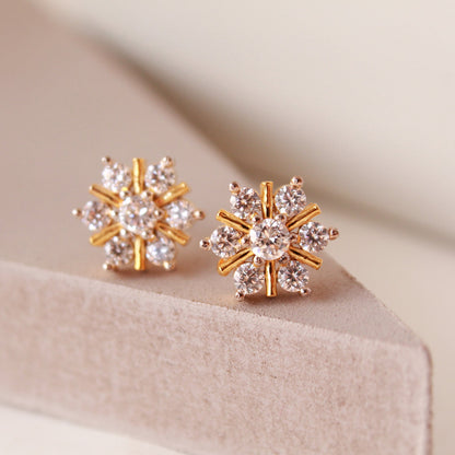 Snowflakes Studs