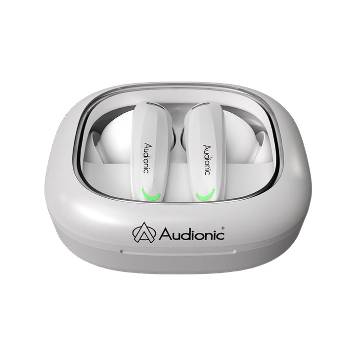 Airbud 735 Ion with ANC