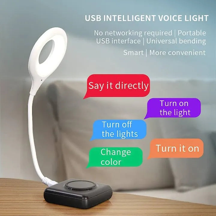 LK-50 USB Voice Smart Light